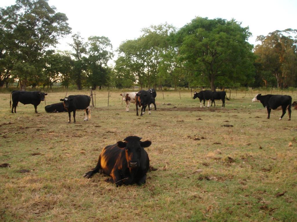 Hotel De Campo La Morena Ezeiza Eksteriør bilde